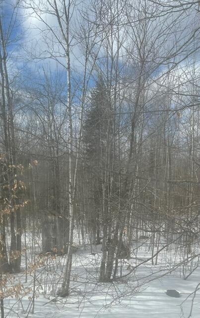 381 John Dean Road Milo, ME 04463 - Photo 36 of 39 image2 (8)