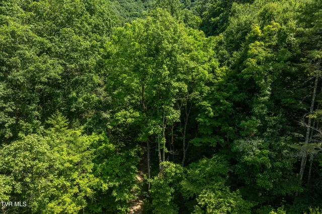 $259,000 | 937 Troublesome Hollow Road, Bluff City, TN 37618