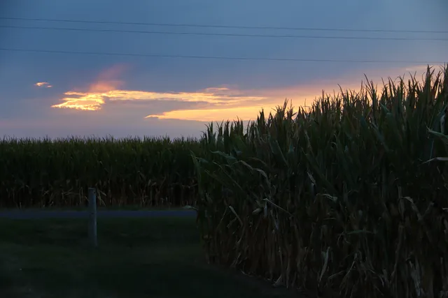 $284,650 | 612 County Road 2500 East, Homer, IL 61849