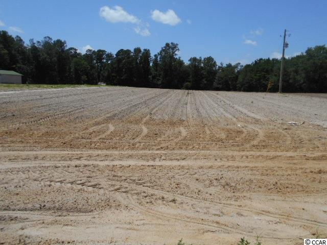 7020 Oak Grove Road Conway, SC 29527 - Photo 21 of 24 Gallery Image 21