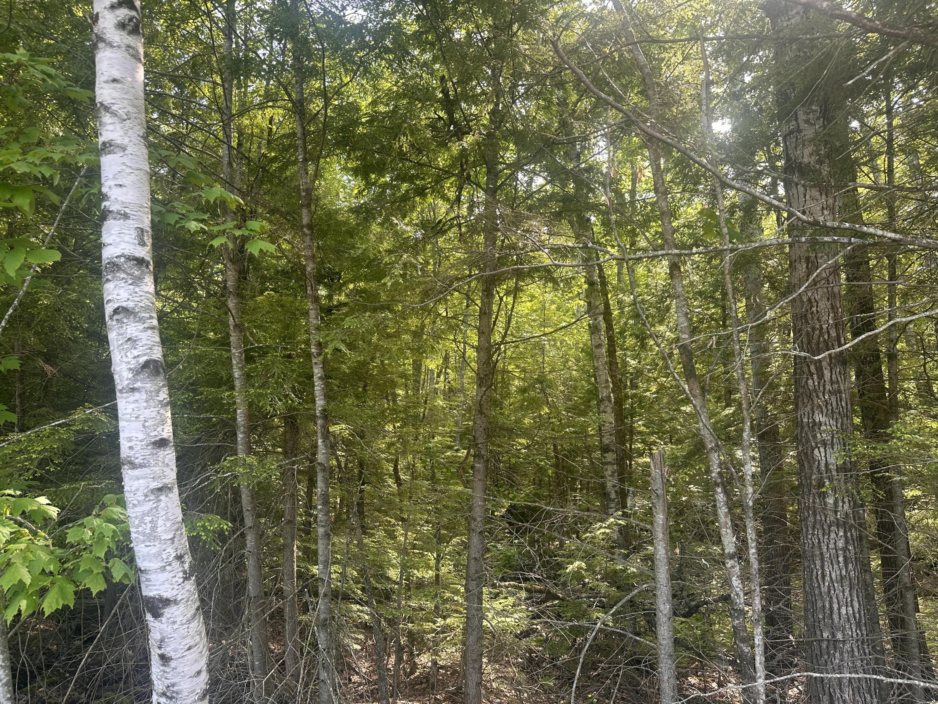Lot #15 Greenacre Road Lincolnville, ME 04849 - Photo 21 of 23