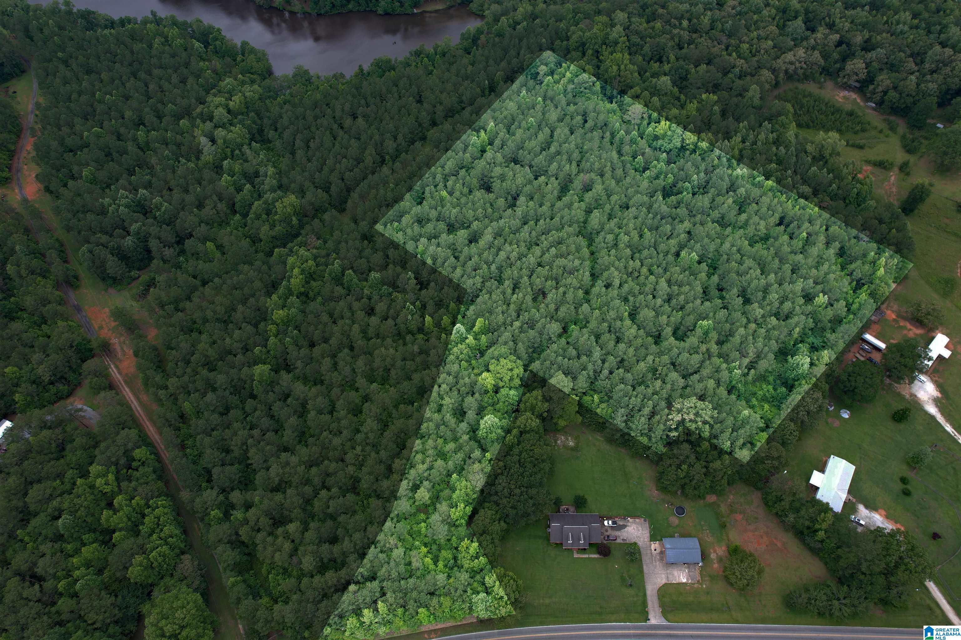 0 Houston Road Sylacauga, AL 35151 - Photo 4 of 32