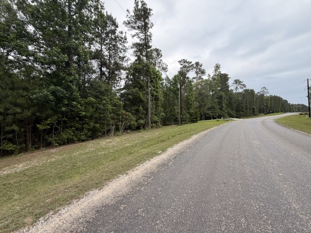 Tbd Texas Grand Road Huntsville, TX 77340 - Photo 6 of 8