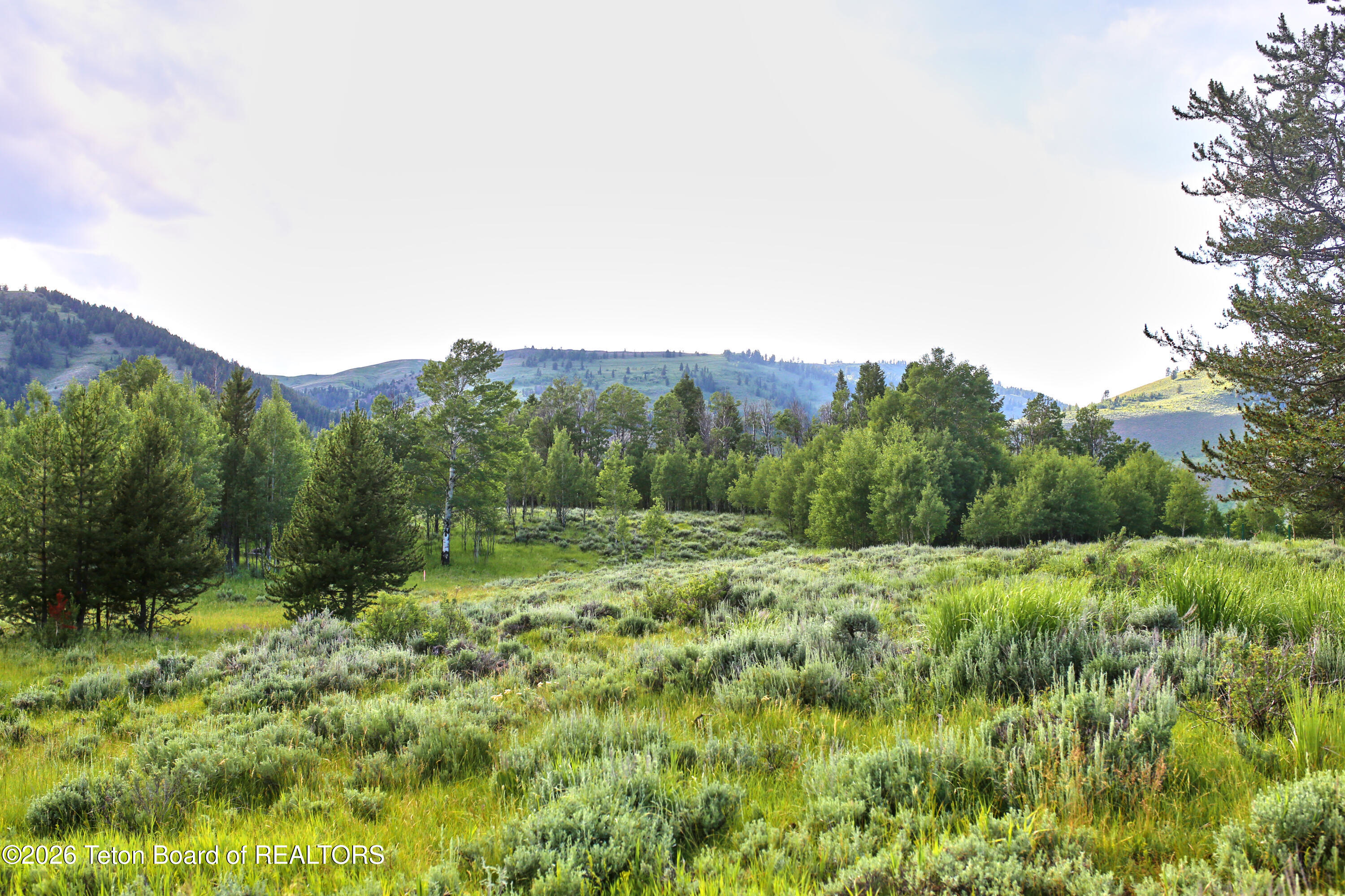 865 Elk Ridge Road Jackson, WY 83001 - Photo 4 of 20 Views
