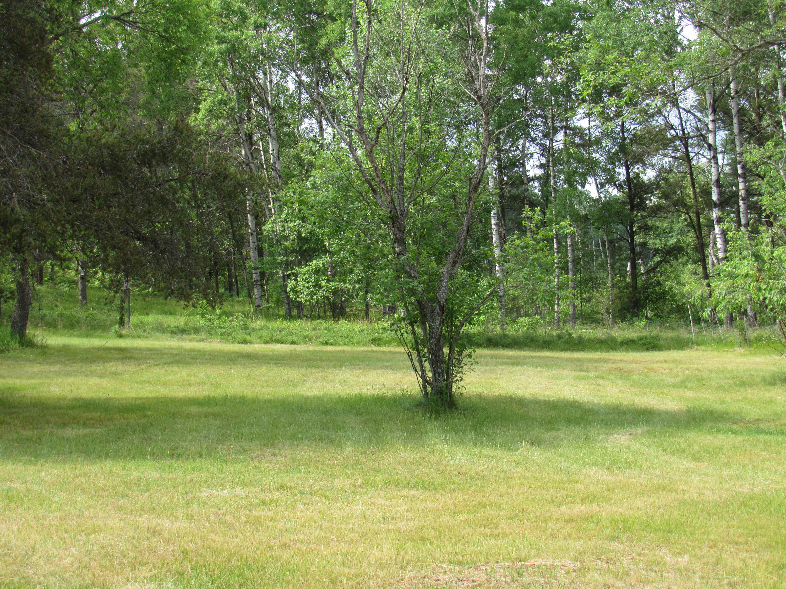 Walsh Road Lewiston, MI 49756 - Photo 8 of 11 Gallery Image 8