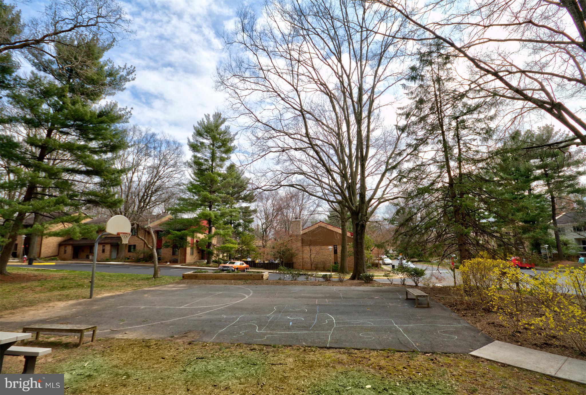 11116 Saffold Way Reston, VA 20190 - Photo 29 of 30 a view of road with large trees