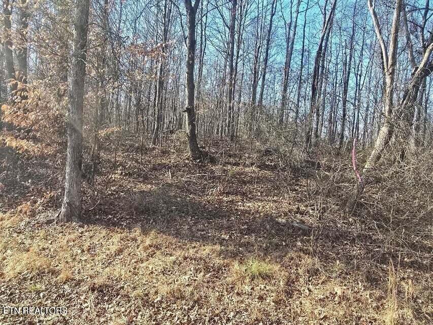 Lot 16 River Road Decatur, TN 37322 - Photo 1 of 3 20260107195340586454000000-o