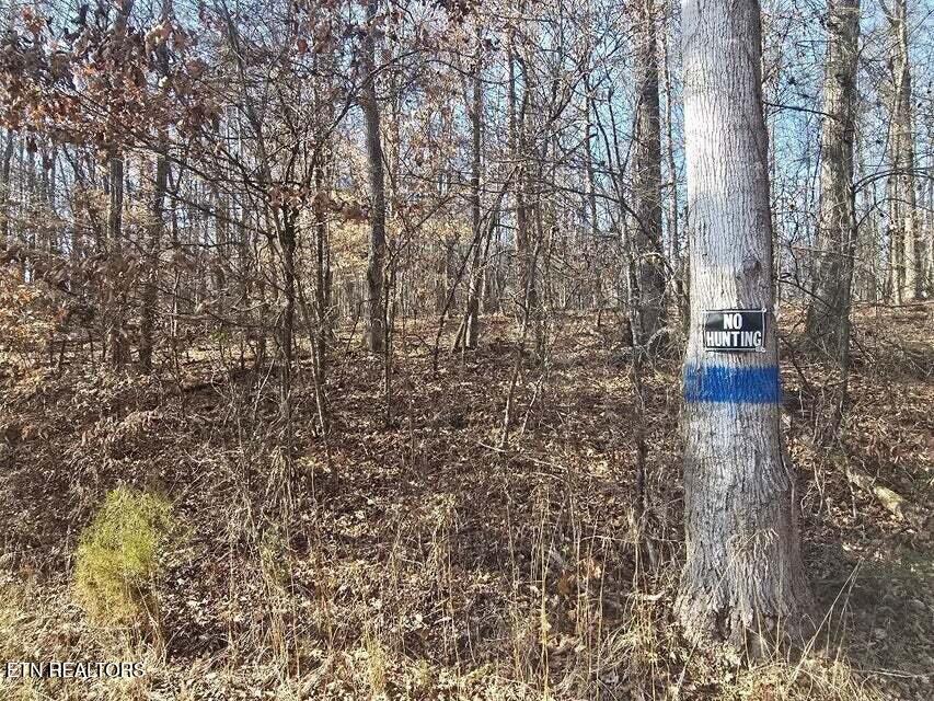 Lot 16 River Road Decatur, TN 37322 - Photo 3 of 3 20260107195339956816000000-o