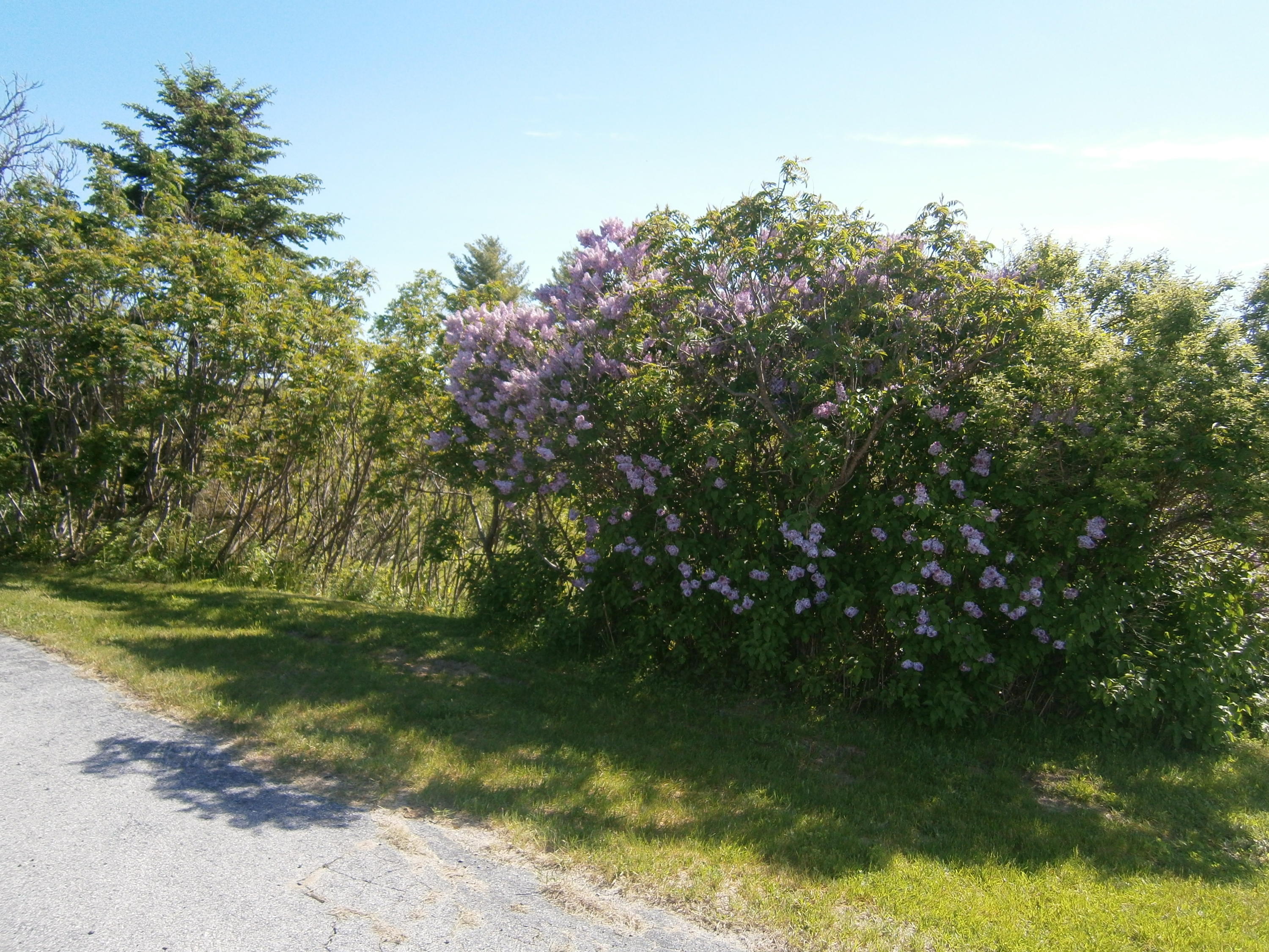 263 River Road Lagrange, ME 04453 - Photo 15 of 26 P6091603