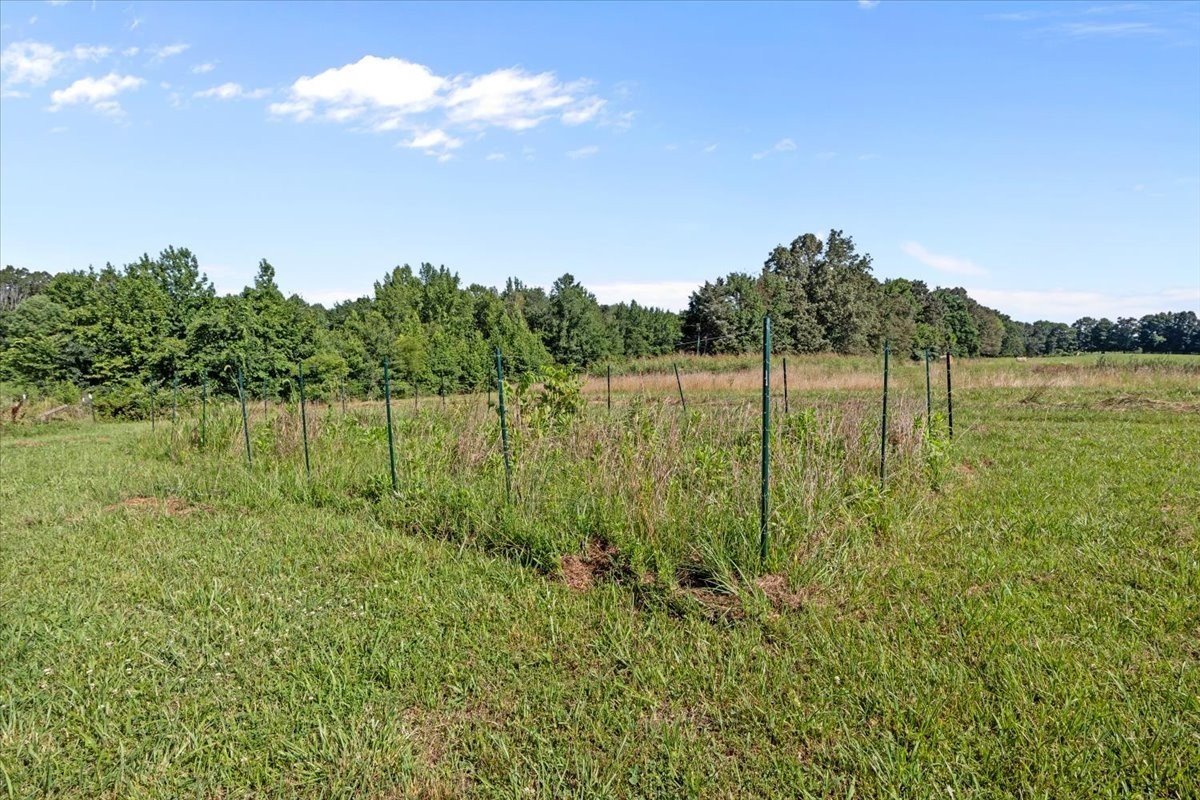 1030 Upper Creek Road Vanleer, TN 37181 - Photo 32 of 38