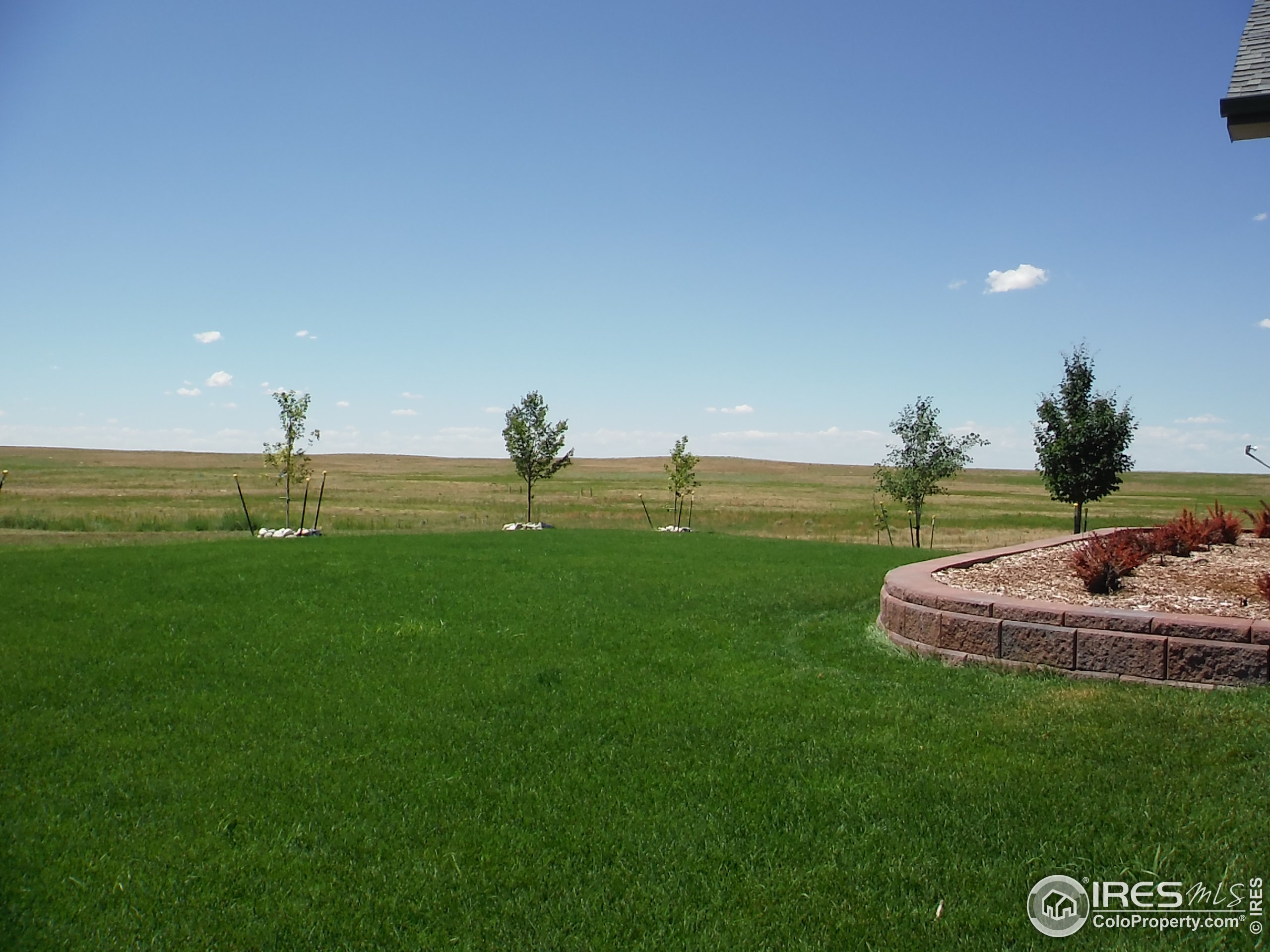 7858 County Rd P.6 Wiggins, CO 80654 - Photo 2 of 23 Gallery Image 2