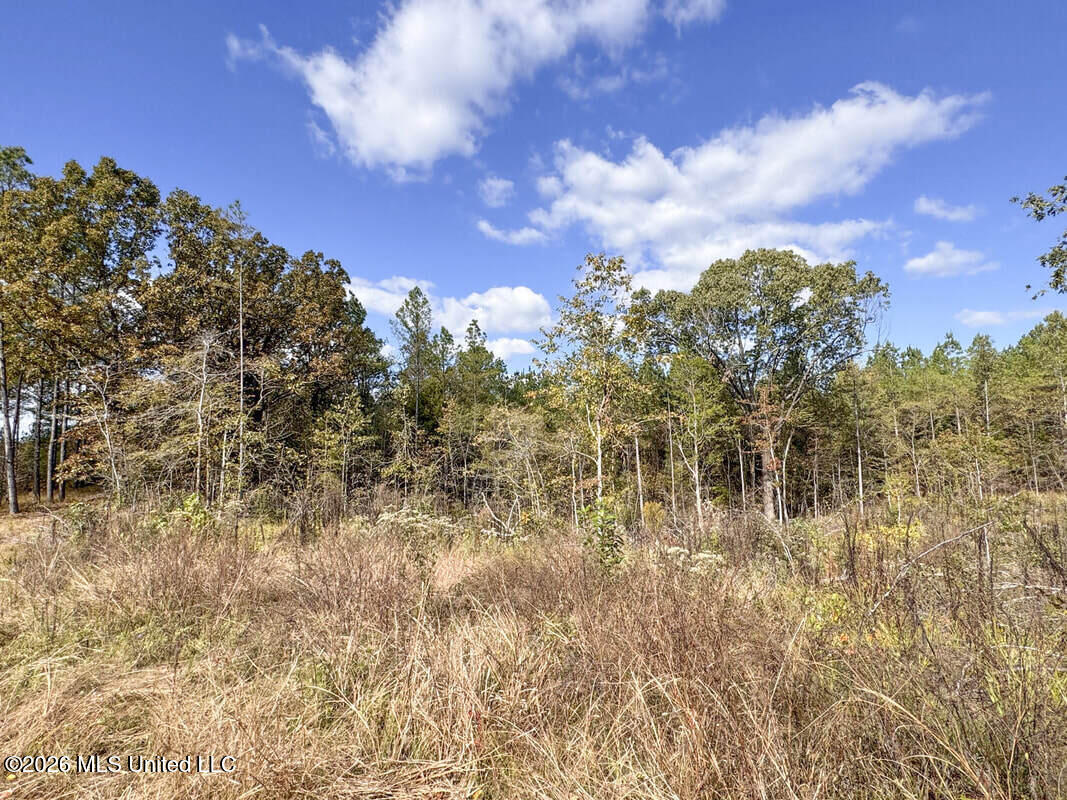 154 County Road Tillatoba, MS 38961 - Photo 48 of 58 4kgrdnyba16-orig_orig
