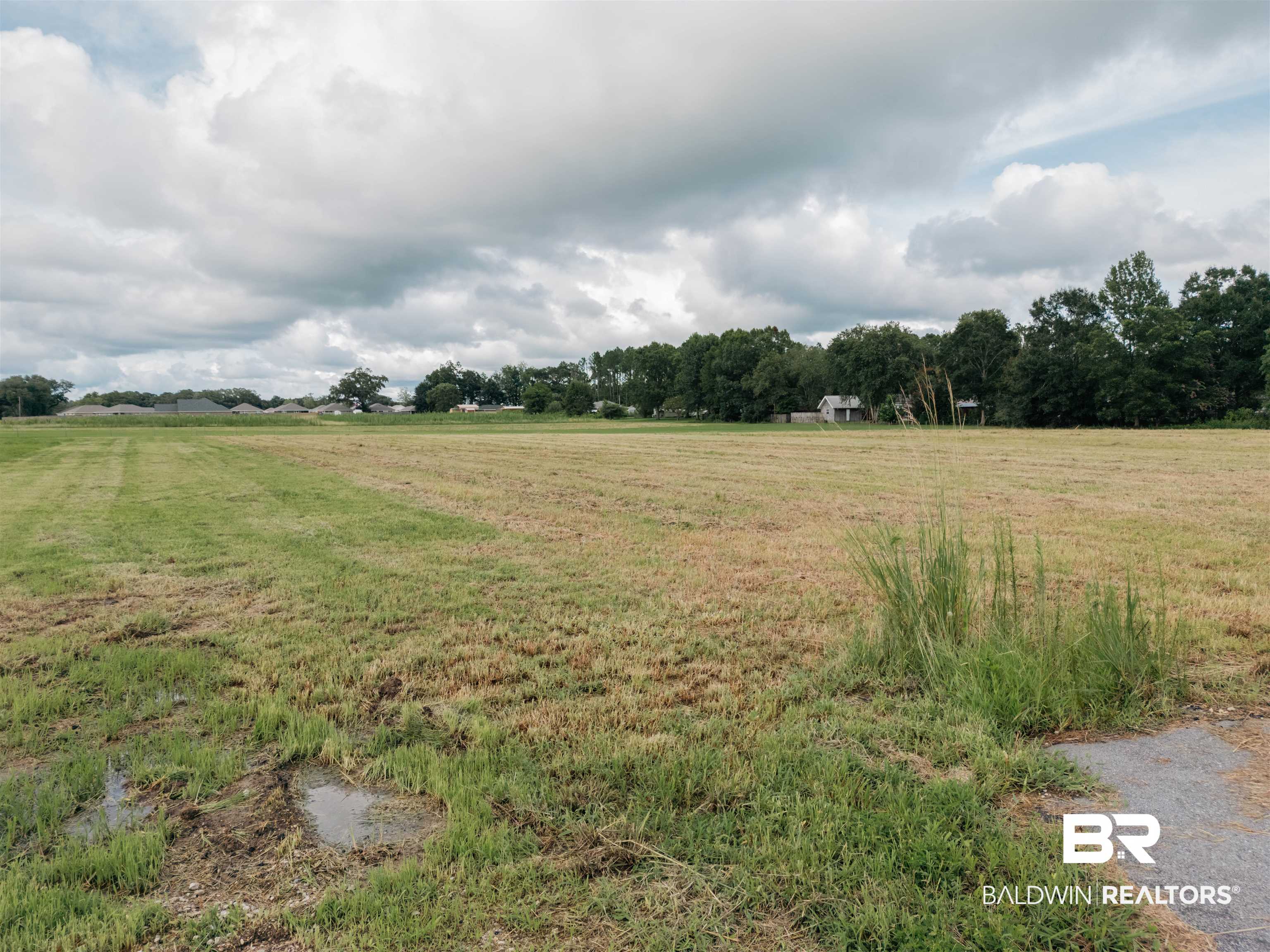 17127 East Thompson Road Robertsdale, AL 36567 - Photo 20 of 20 View of nature