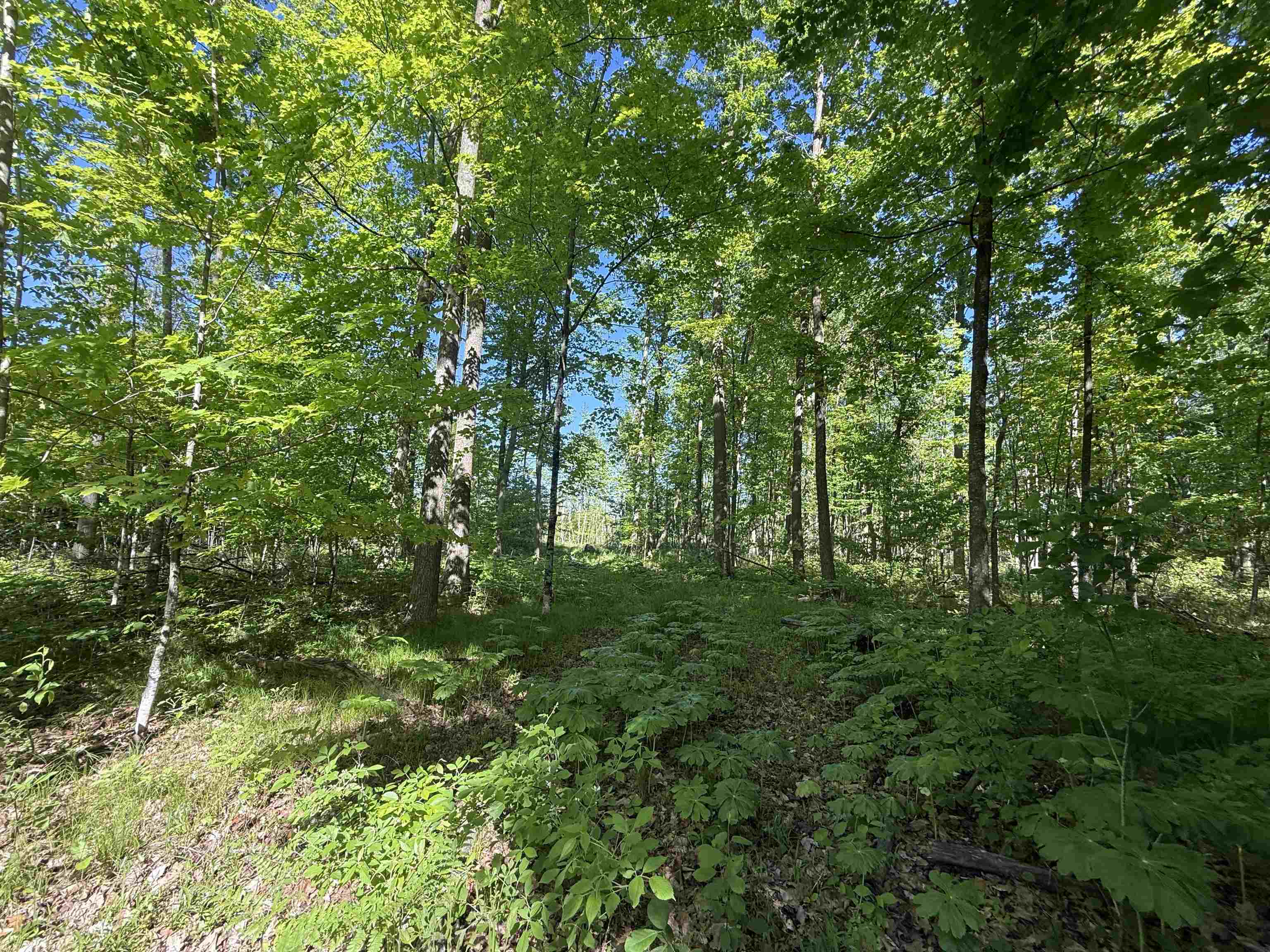 N5610 Resort Road Bonduel, WI 54107 - Photo 10 of 13