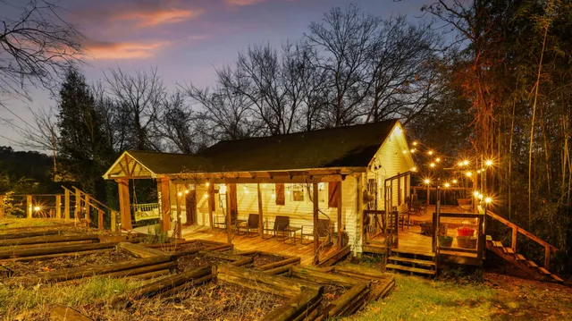 a view of yard along with trees