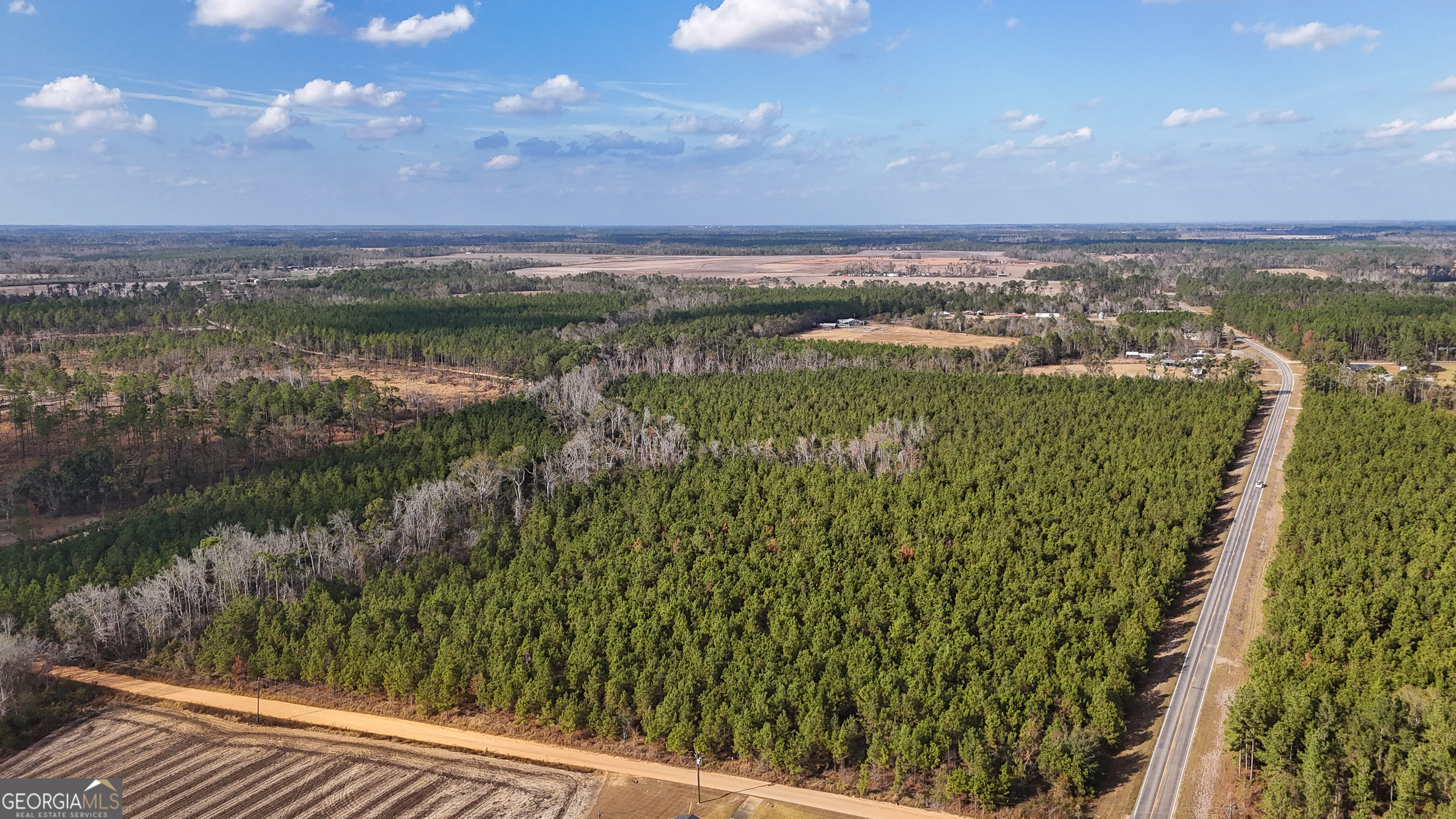 0 Herrington Road Baxley, GA 31513 - Photo 1 of 10