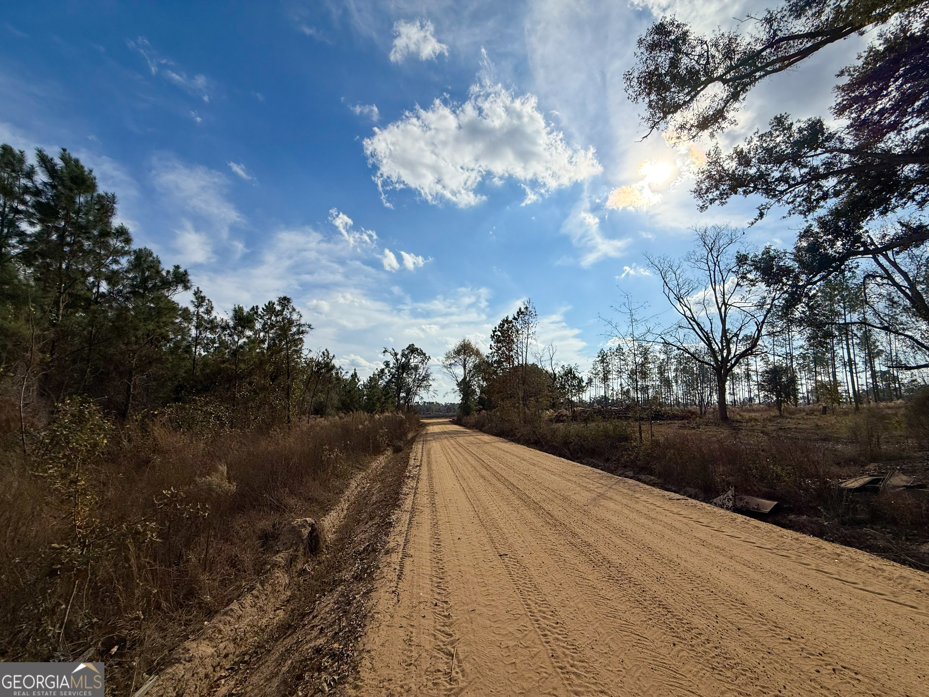 0 Herrington Road Baxley, GA 31513 - Photo 3 of 10