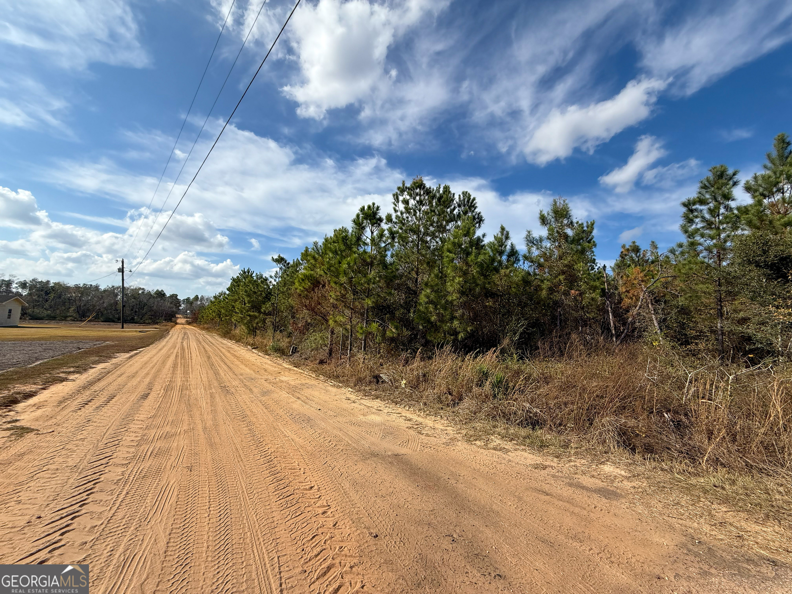 0 Herrington Road Baxley, GA 31513 - Photo 4 of 10
