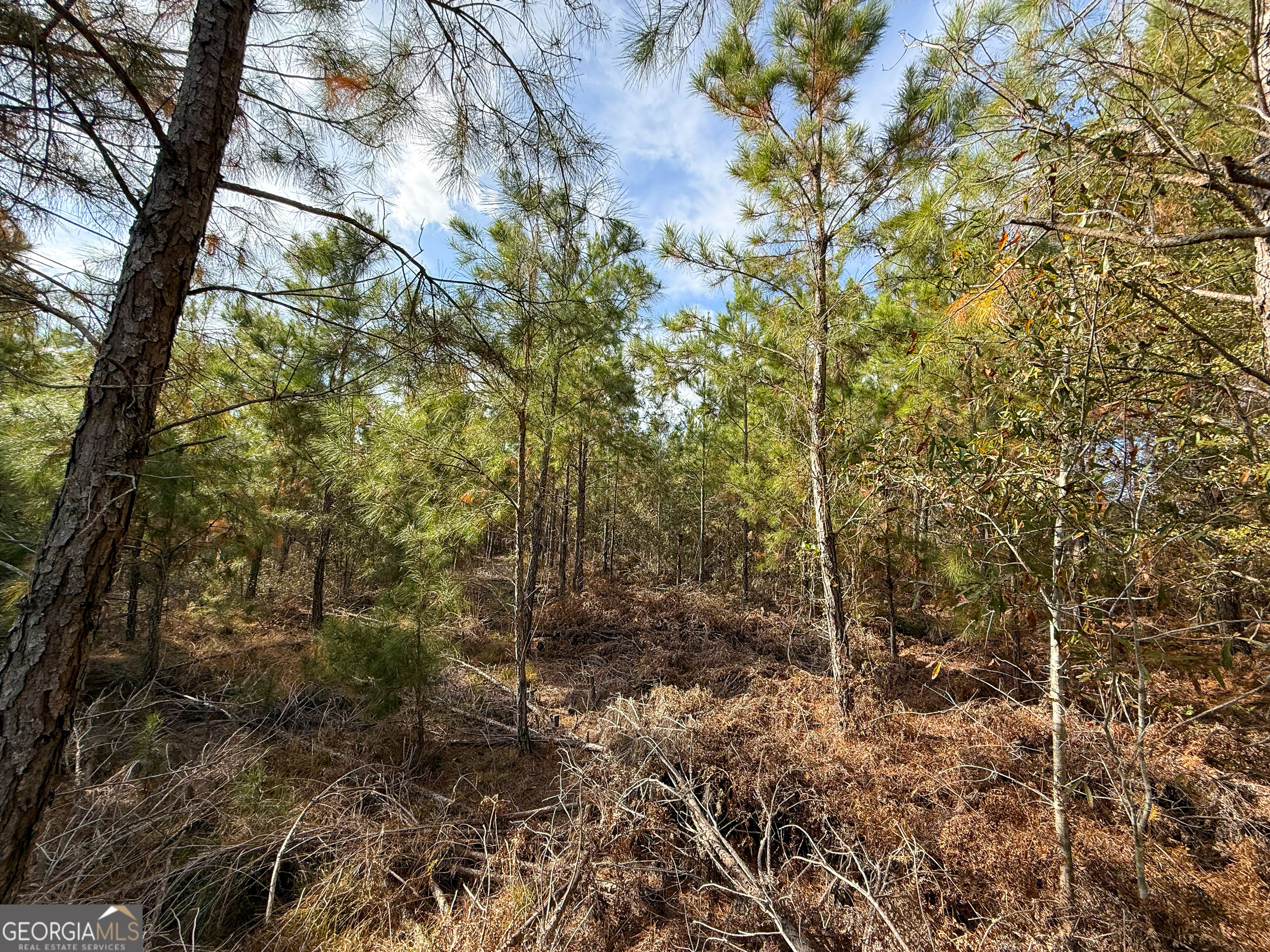 0 Herrington Road Baxley, GA 31513 - Photo 5 of 10