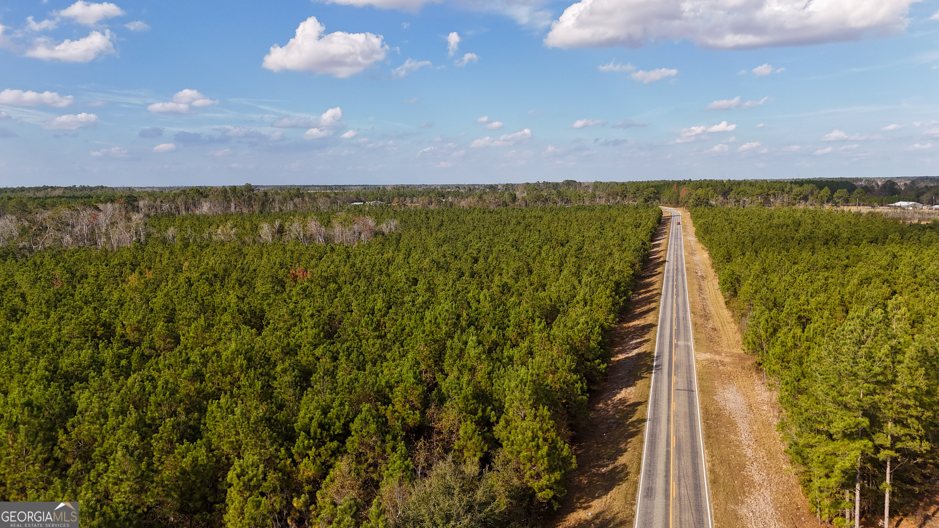 0 Herrington Road Baxley, GA 31513 - Photo 6 of 10