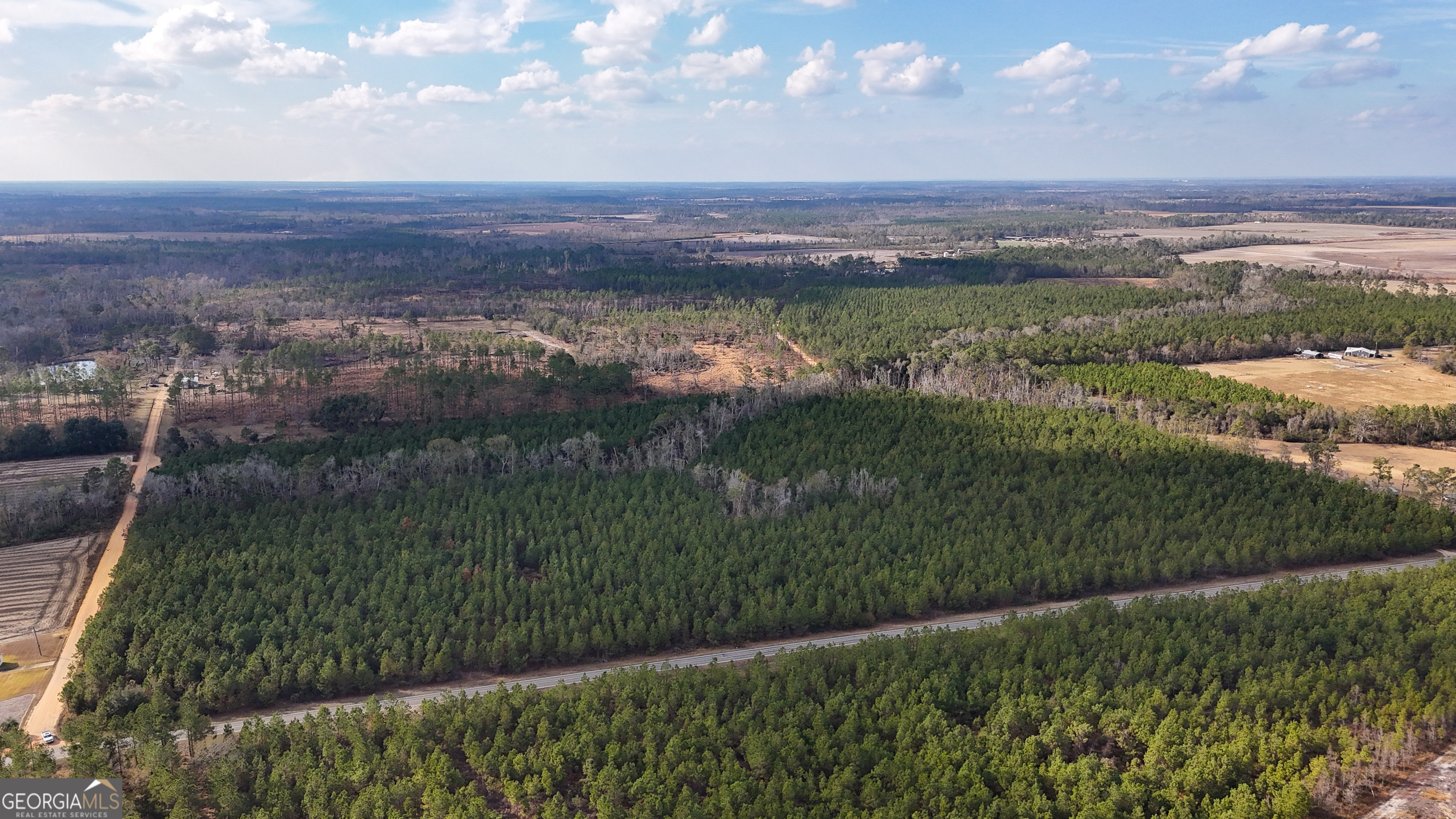 0 Herrington Road Baxley, GA 31513 - Photo 7 of 10