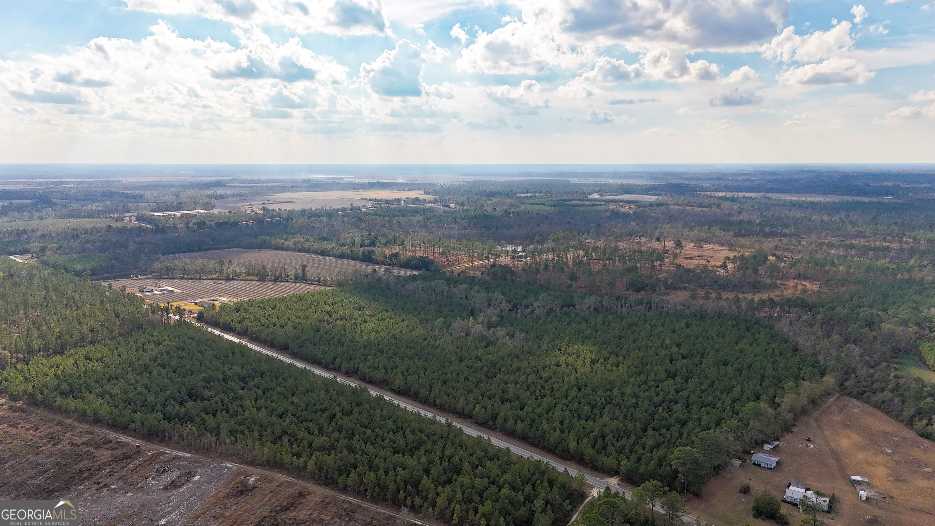 0 Herrington Road Baxley, GA 31513 - Photo 8 of 10