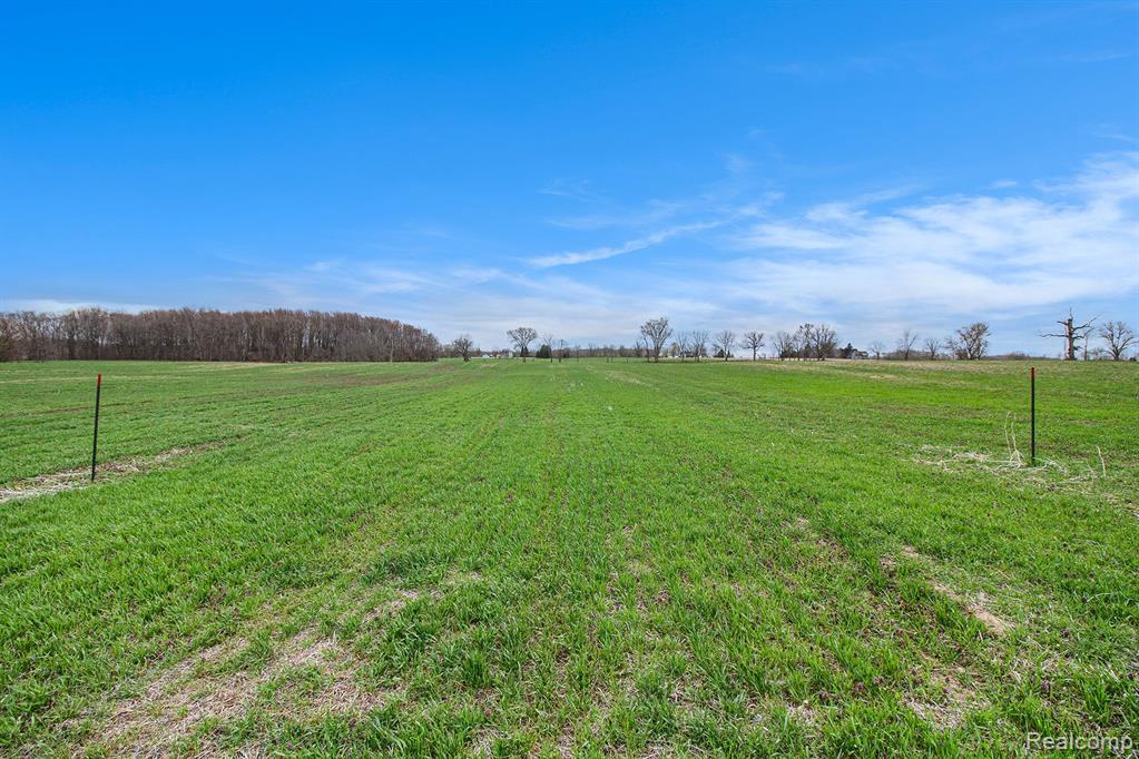 2 Mohrle Road Fowlerville, MI 48836 - Photo 3 of 18