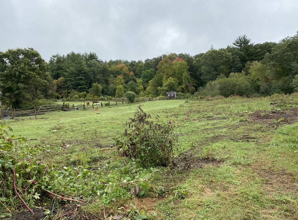 0 Washington Road Brimfield, MA 01010 - Photo 3 of 5 Gallery Image 3