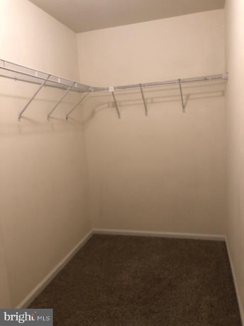 330 Nicholas Drive Riverside, NJ 08075 - Photo 7 of 14 Huge Walk-in Closet