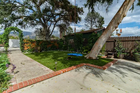 a view of a park with large trees