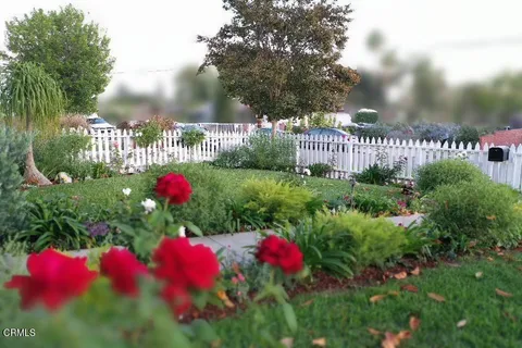 a view of a flower garden