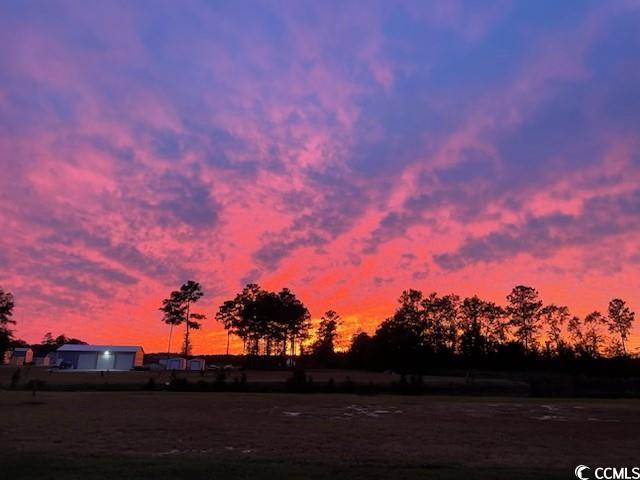 4082 Salem Road Aynor, SC 29511 - Photo 39 of 39 View of yard at dusk
