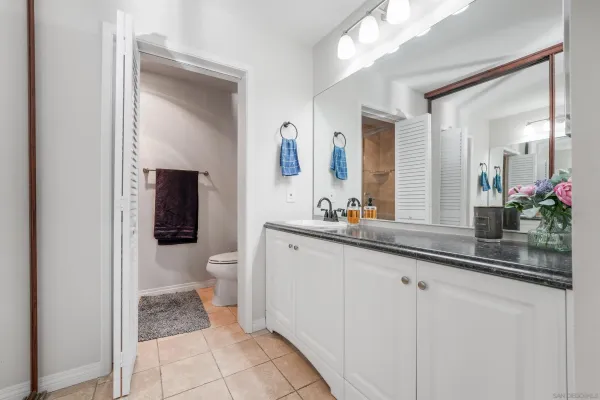 a bathroom with a sink a toilet and mirror
