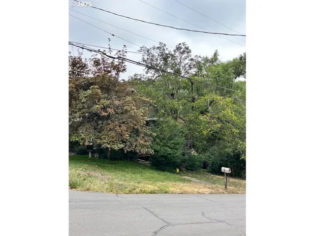 a view of a yard in front of a house