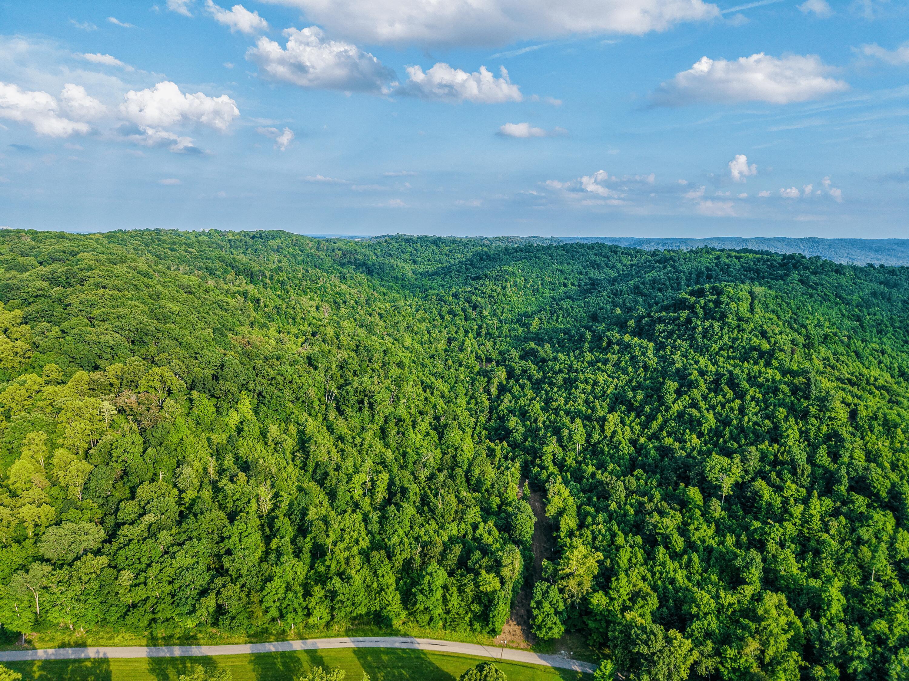 0 Millers Run-Back Run Road Lucasville, OH 45648 - Photo 5 of 24 5 - Bottom Hill North