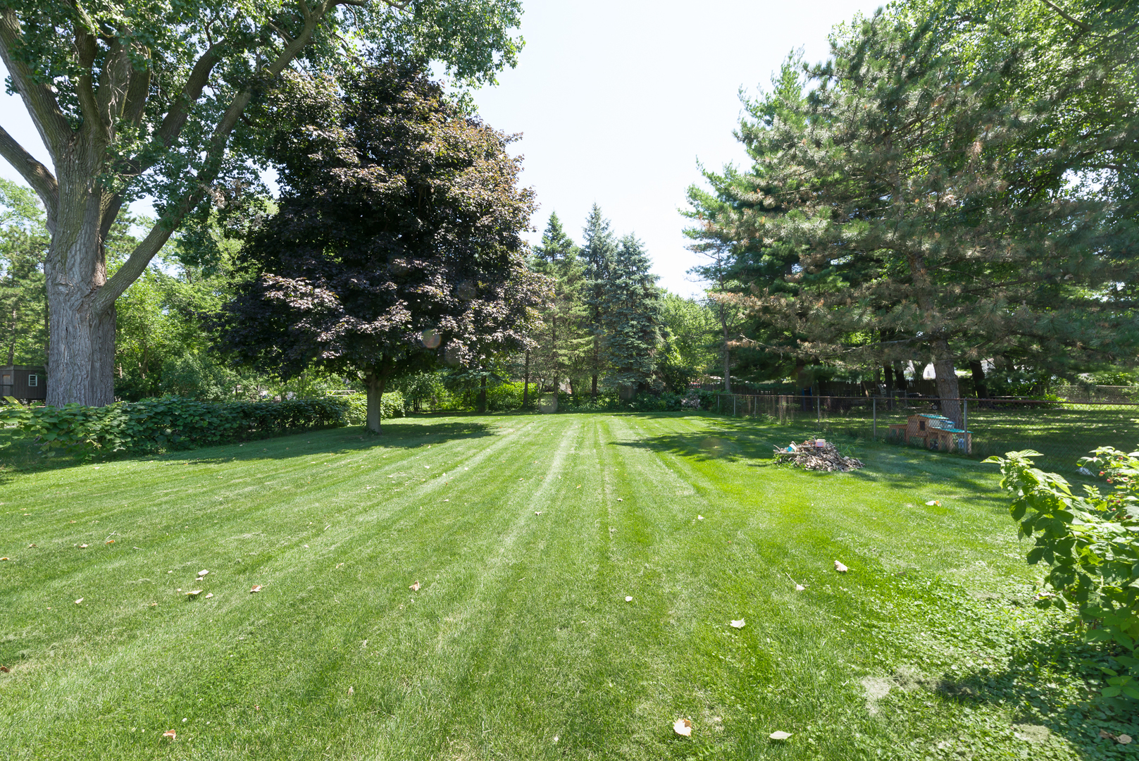 1S183 Valley Road Lombard, IL 60148 - Photo 25 of 25 a view of backyard with swimming pool
