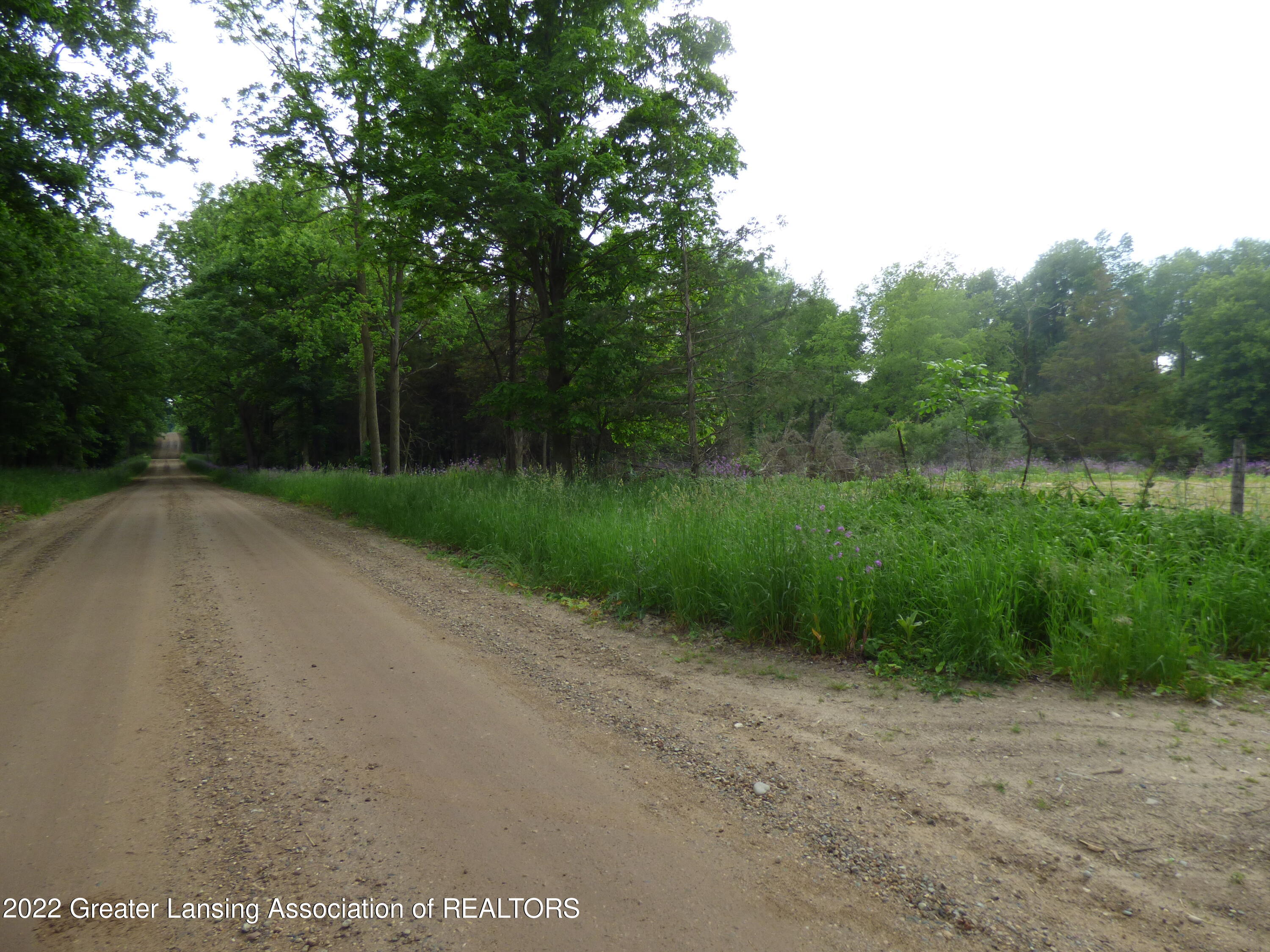6377 North Bauer Road Fowler, MI 48835 - Photo 54 of 61 20 (3)