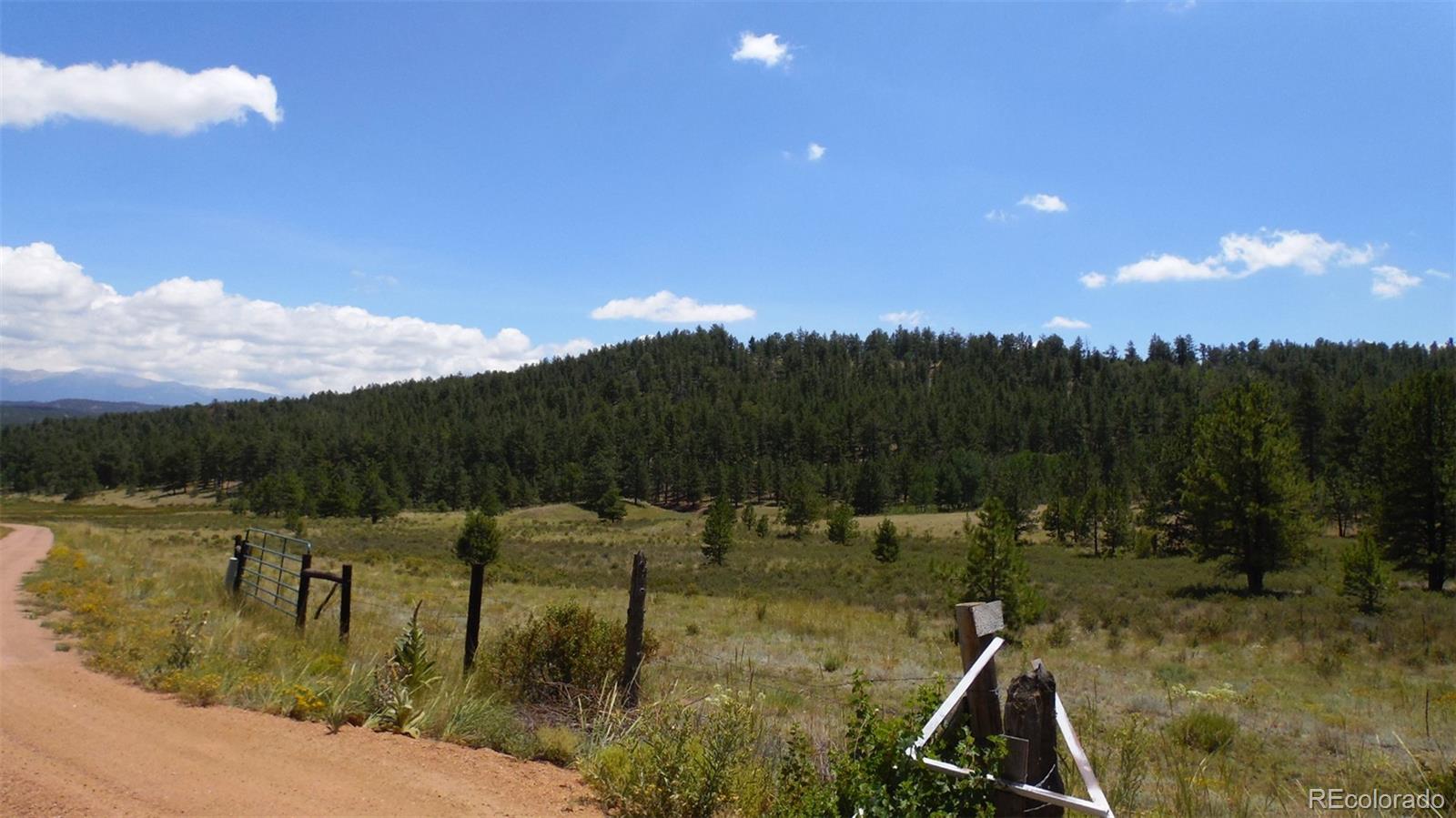 418 Langnis Road Guffey, CO 80820 - Photo 3 of 33 a view of a lake with a mountain in the background