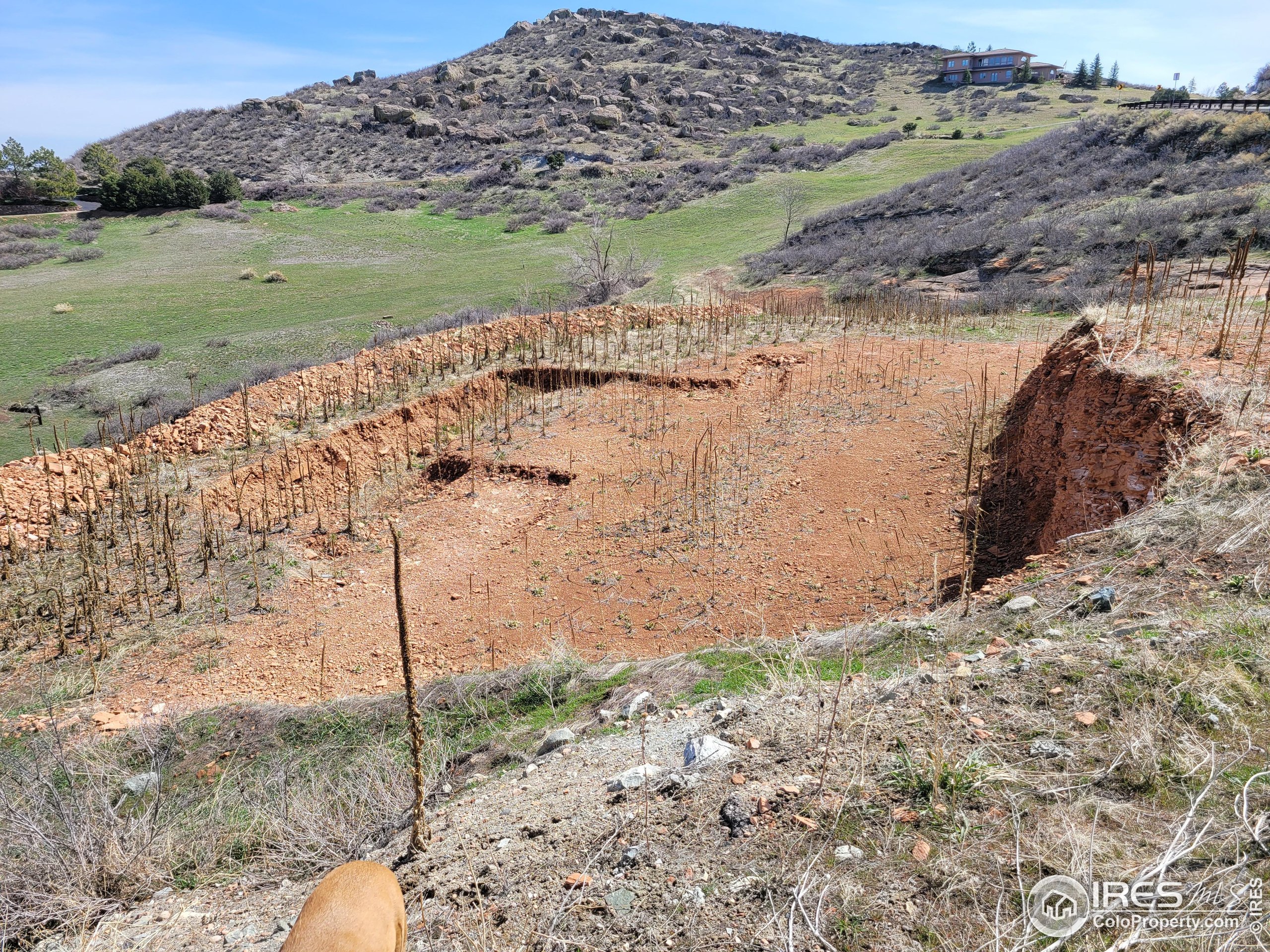 4516 Bingham Hill Road Fort Collins, CO 80521 - Photo 3 of 7