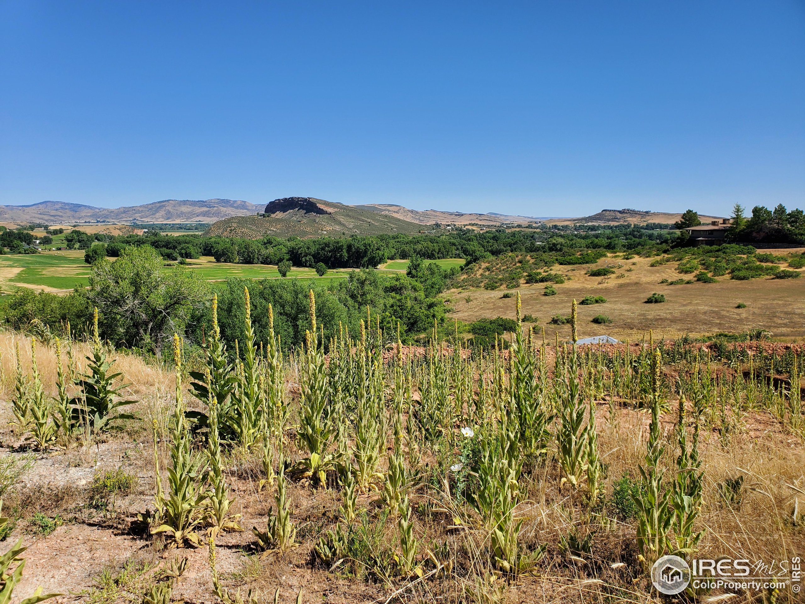4516 Bingham Hill Road Fort Collins, CO 80521 - Photo 5 of 7