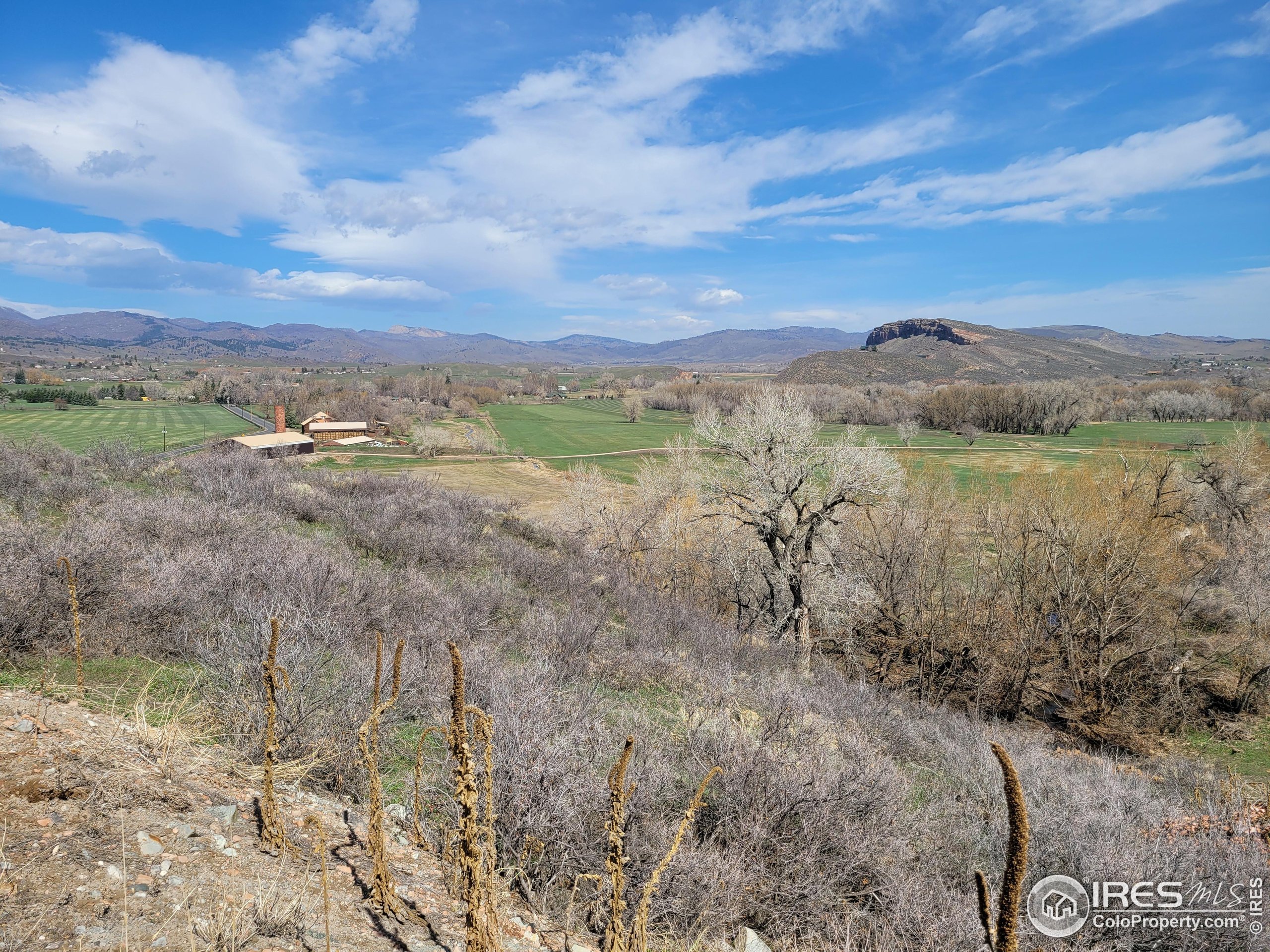 4516 Bingham Hill Road Fort Collins, CO 80521 - Photo 6 of 7