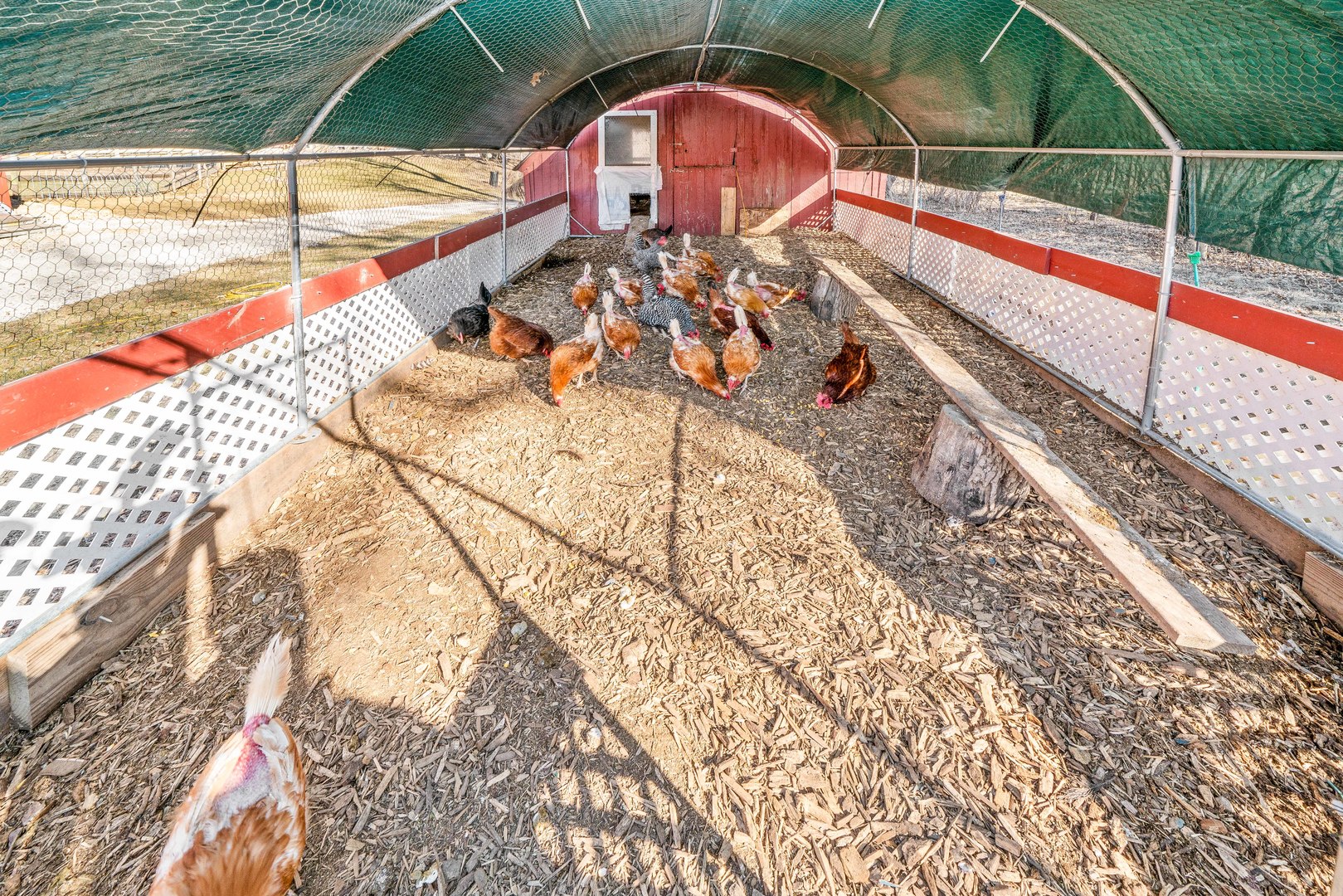 4444 Wesley Freebairn Road Earlville, IL 60518 - Photo 47 of 68