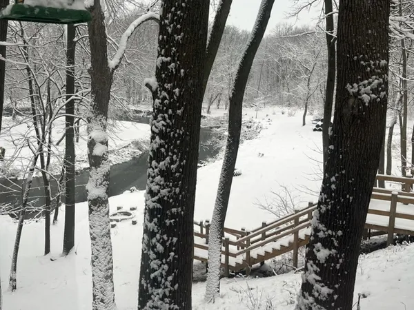 $495,000 | 4444 Wesley Freebairn Road, Earlville, IL 60518