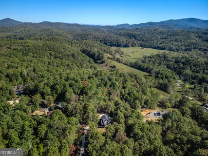a view of a lush green hillside and a houses