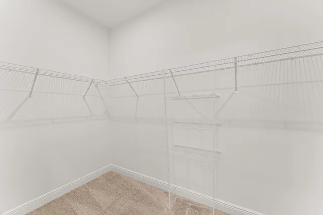 a view of a room with racks on the wall