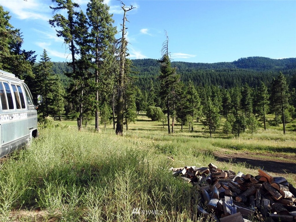 420 Colfax Road Cle Elum, WA 98922 - Photo 14 of 16 Gallery Image 14