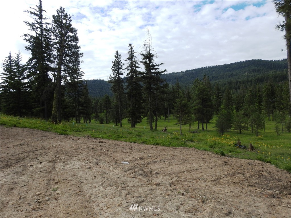 420 Colfax Road Cle Elum, WA 98922 - Photo 8 of 16 Gallery Image 8
