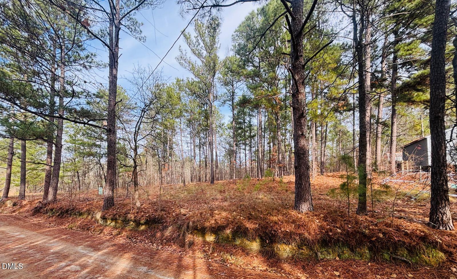 0 Mye Lane Cameron, NC 28326 - Photo 11 of 14