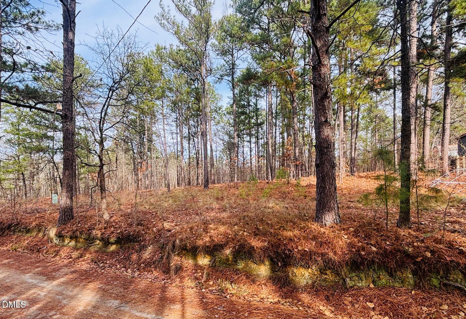 0 Mye Lane Cameron, NC 28326 - Photo 12 of 14 a backyard of a house with lots of green space