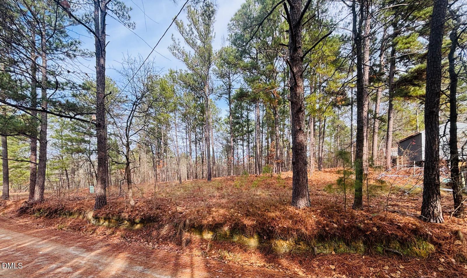 0 Mye Lane Cameron, NC 28326 - Photo 13 of 14 a backyard of a house with lots of green space